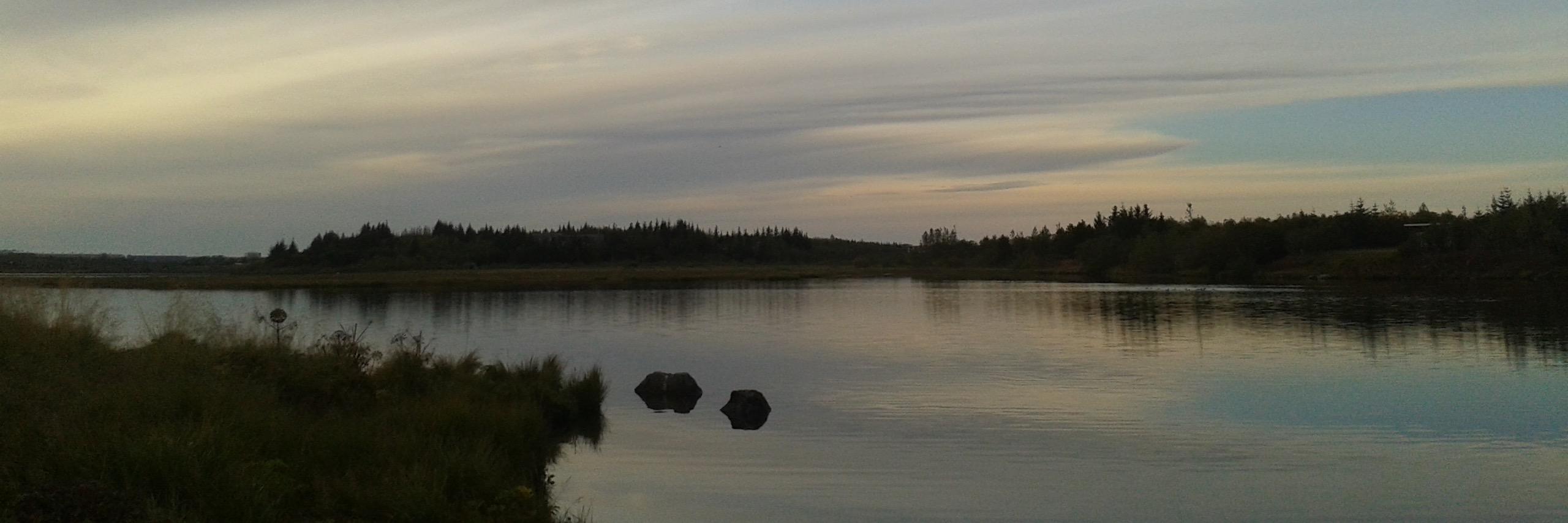zwantzig's profile banner image