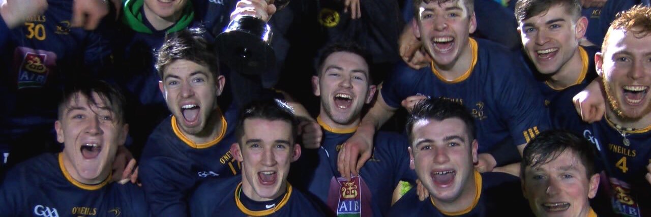 DCU HURLING CLUB banner