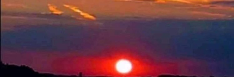 Rogapu's profile banner image