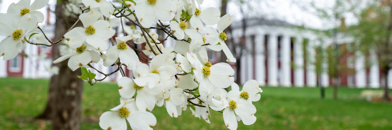 WLUstore's profile banner image