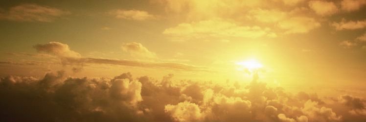 will solace ☀️ banner