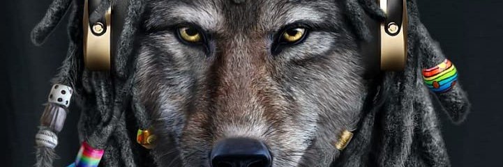 fge45s's profile banner image