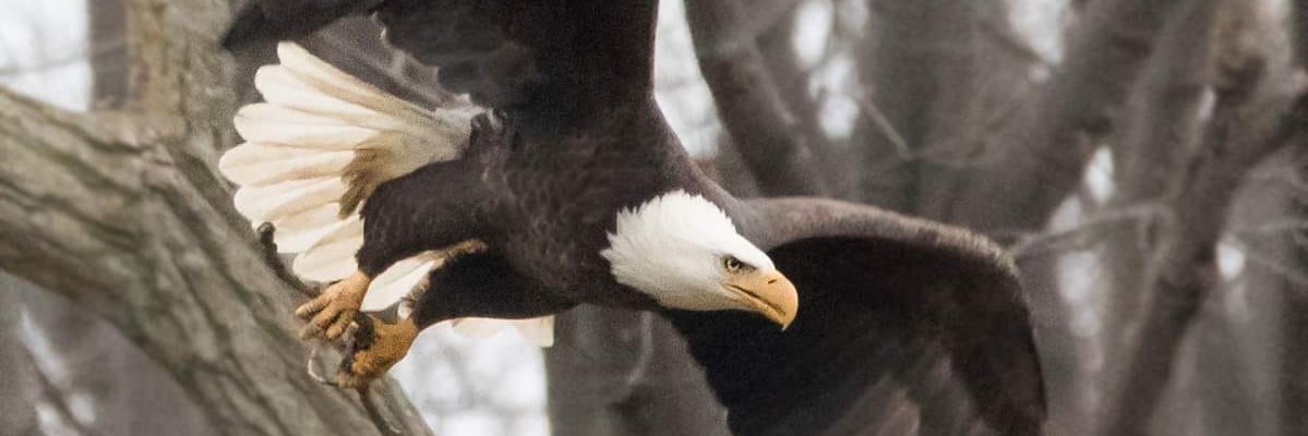 soybean61's profile banner image
