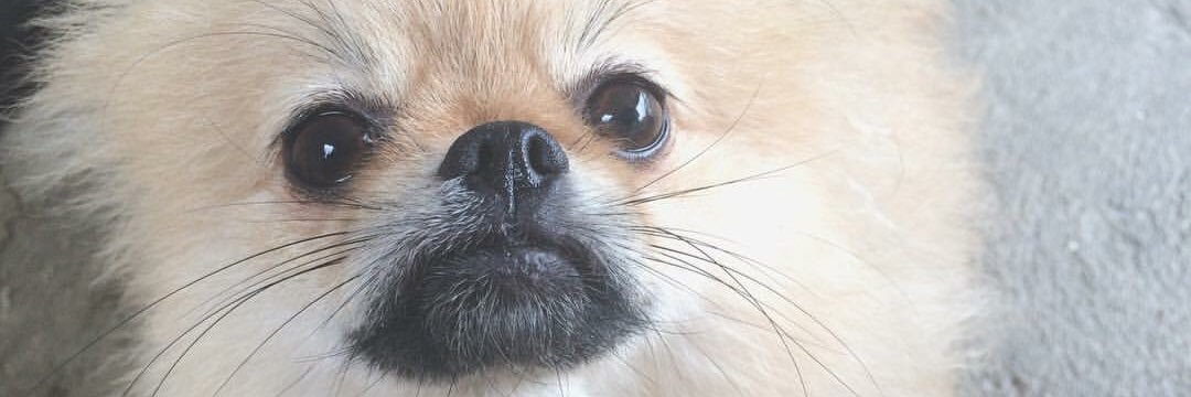 KiaUKnow's profile banner image