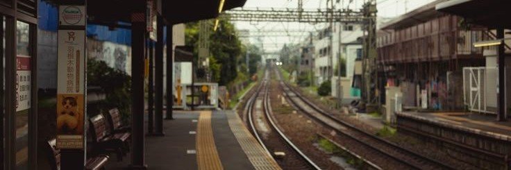 foimododedizzer's profile banner image