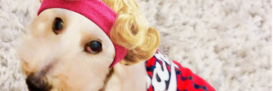 eri7desu's profile banner image