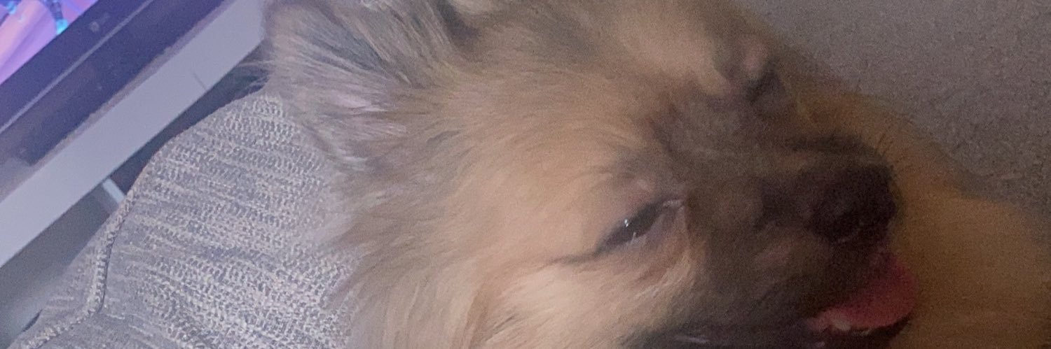 alexmurray___'s profile banner image