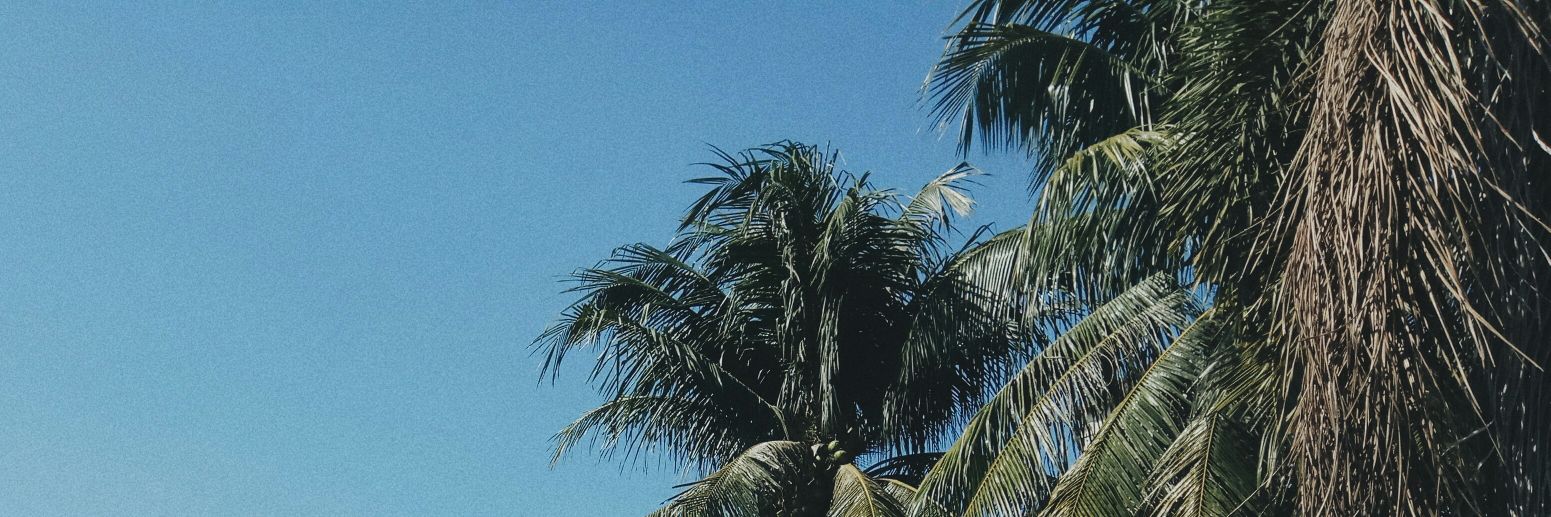 bryanlsj's profile banner image