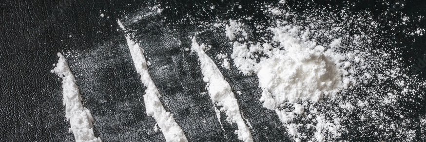 Goth Sluts banner