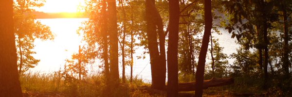 coherg Profile Banner