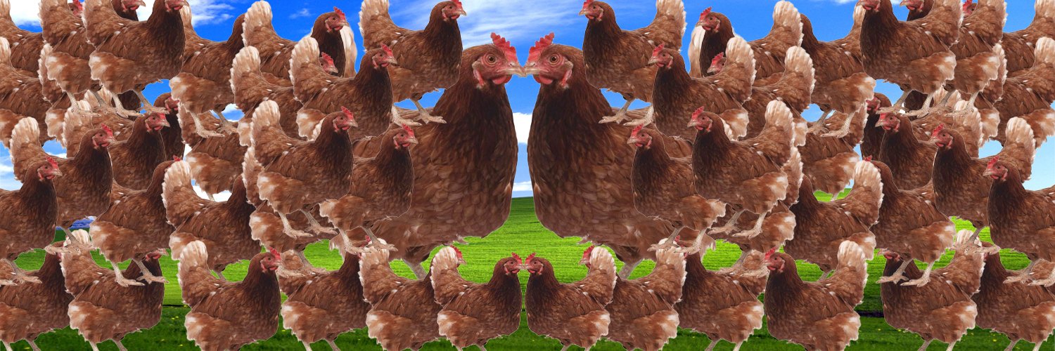 rooster1932's profile banner image