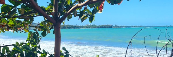 AndreaC317 Profile Banner