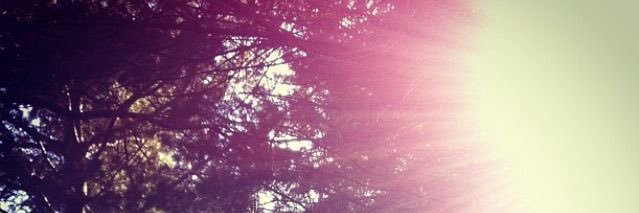 0xIntpx0's profile banner image
