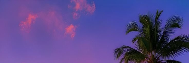 Selah🥀💜 M banner