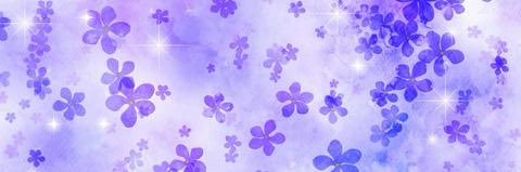 sumiresand1's profile banner image