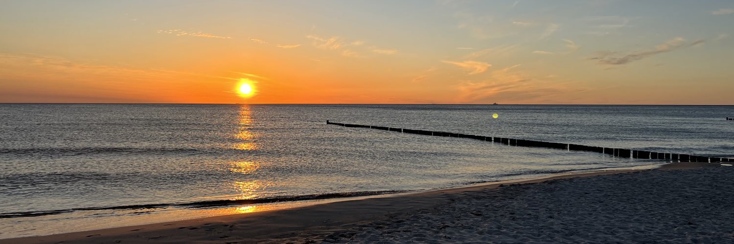 Bernd, das Schaf banner