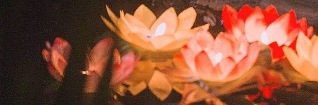nara 🪷 juga banner