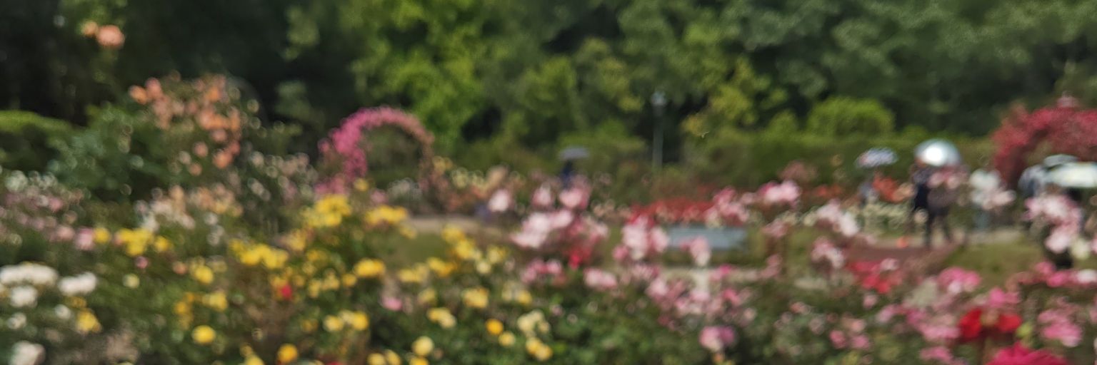 _S2Lh's profile banner image