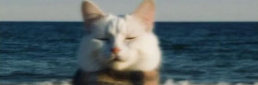 ✵ banner
