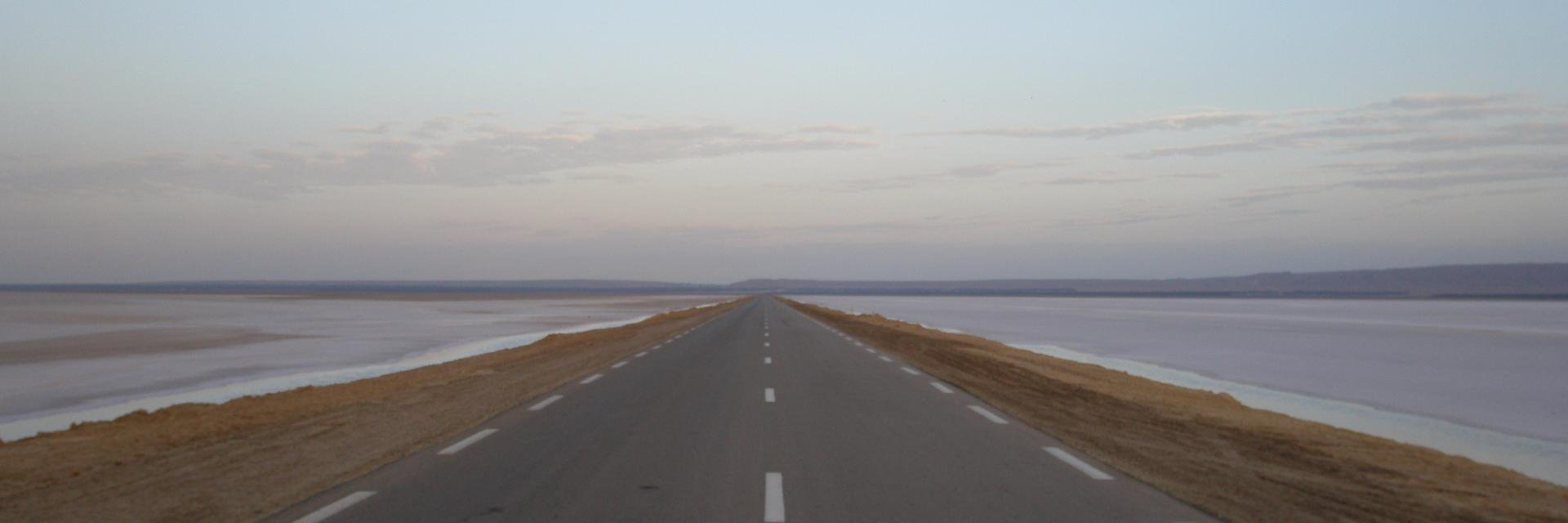 crumblecustard's profile banner image