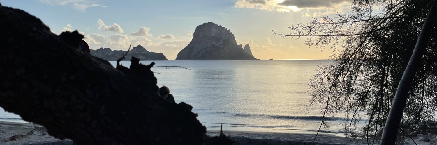 Xavier Suñé banner