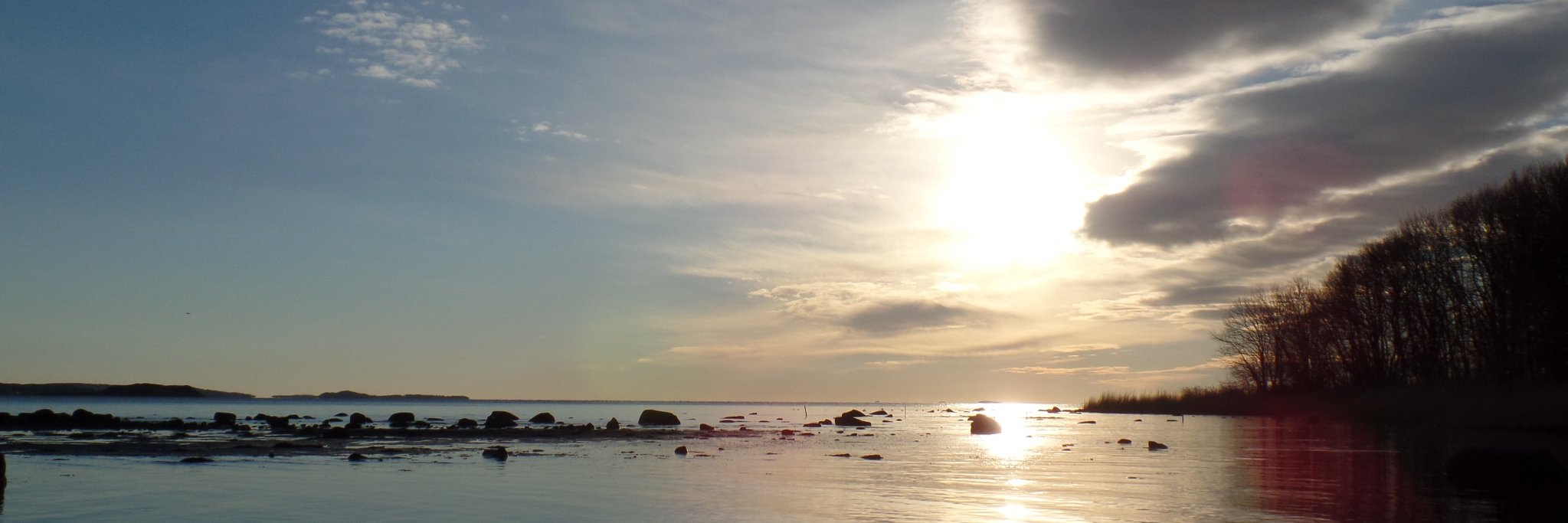 toreboll's profile banner image