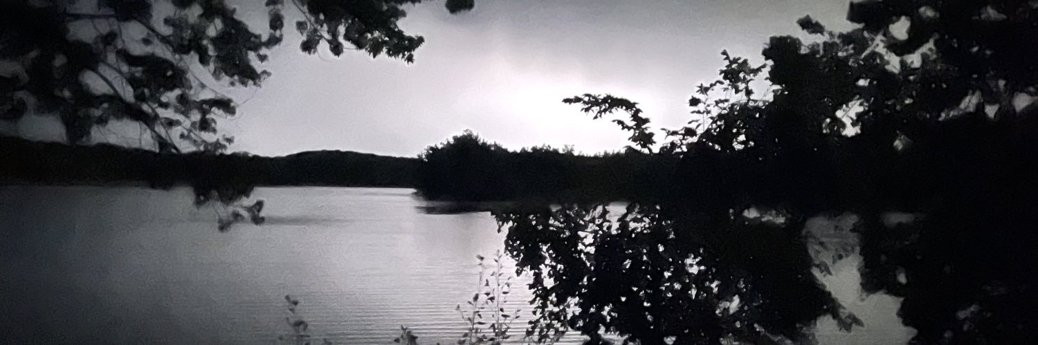 Phyllis_K_1967's profile banner image