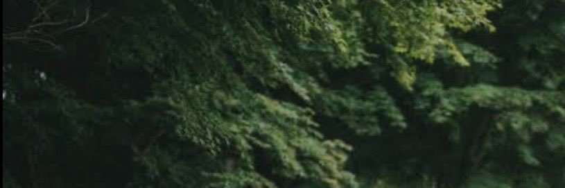 Xlyia banner