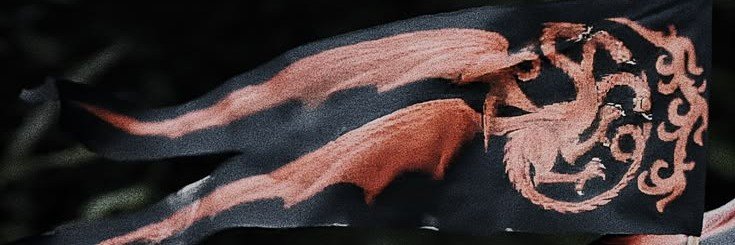 raxvalyr's profile banner image