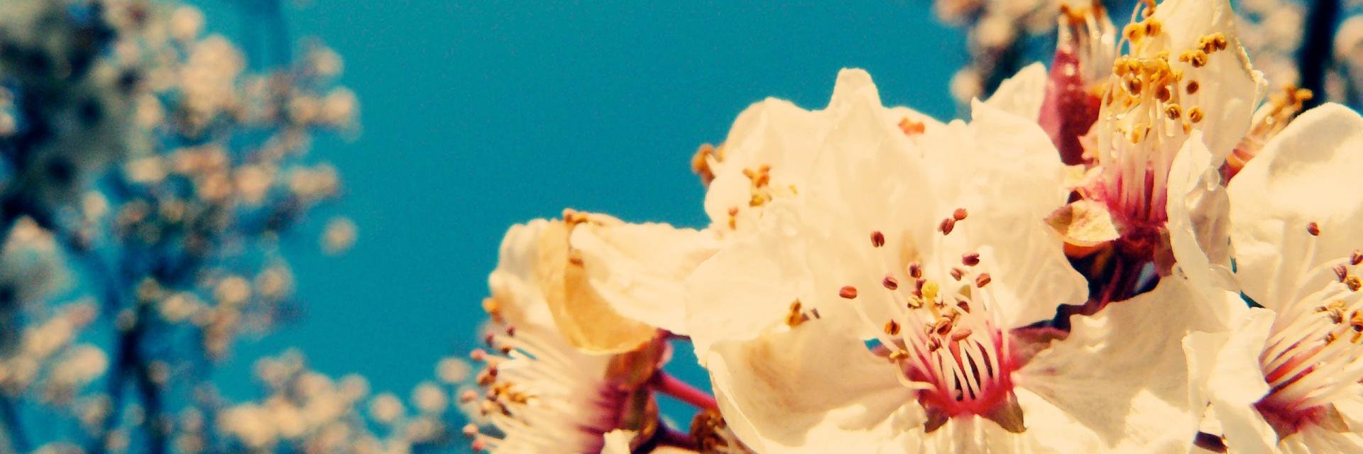 TheRattlingWall's profile banner image