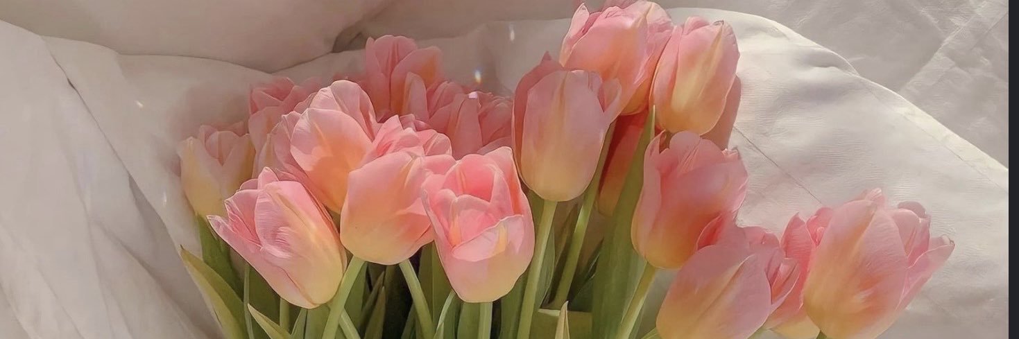 all4amandaa_'s profile banner image
