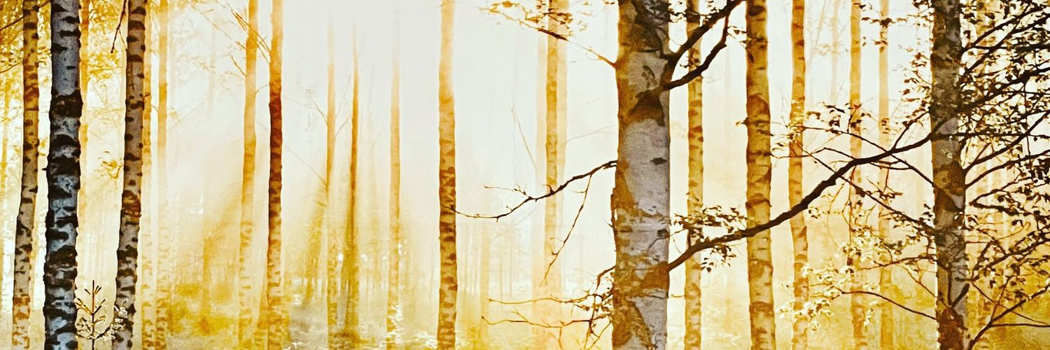 733's profile banner image