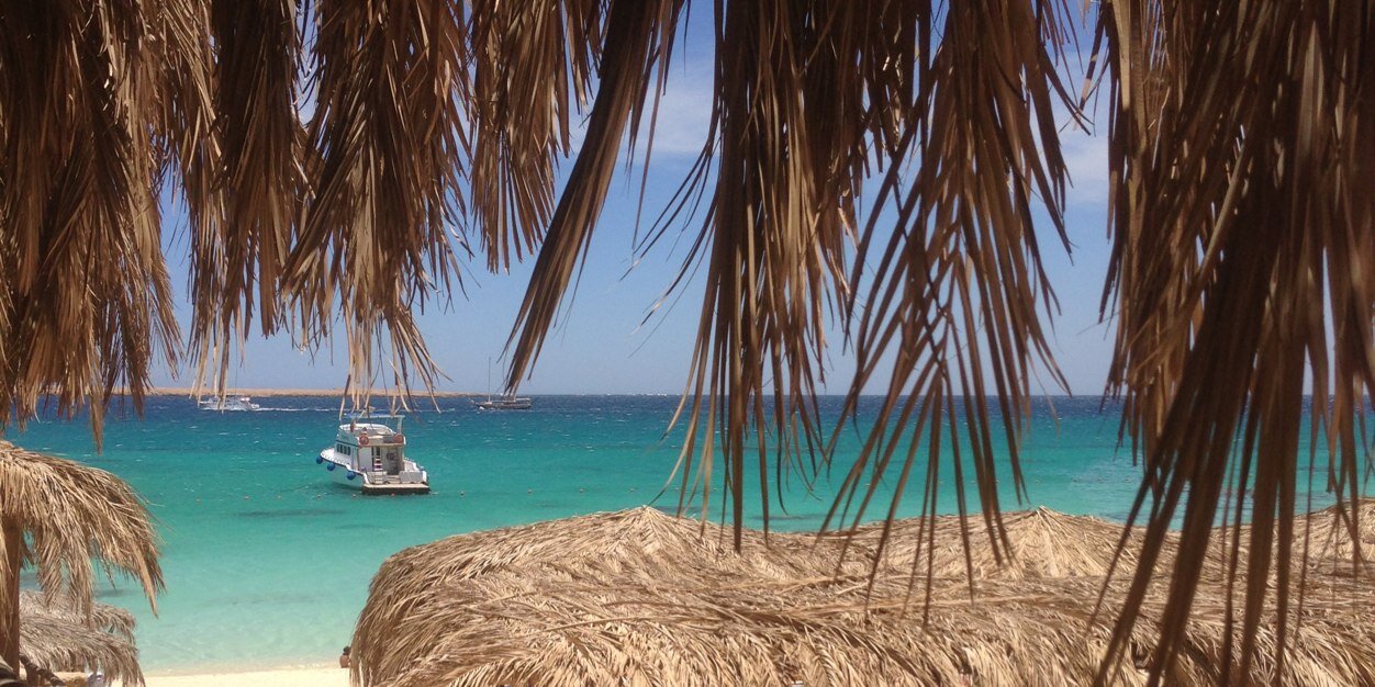 Jennifer Williams banner