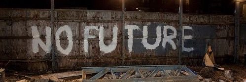 shark banner