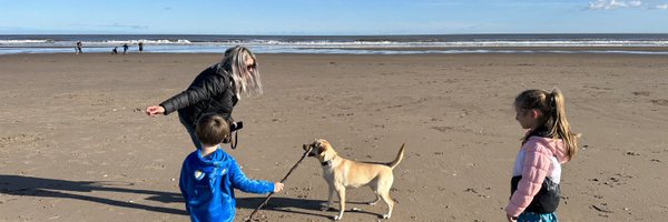 MRomilly Profile Banner