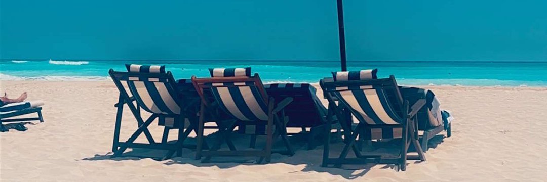 هيا الشمري banner