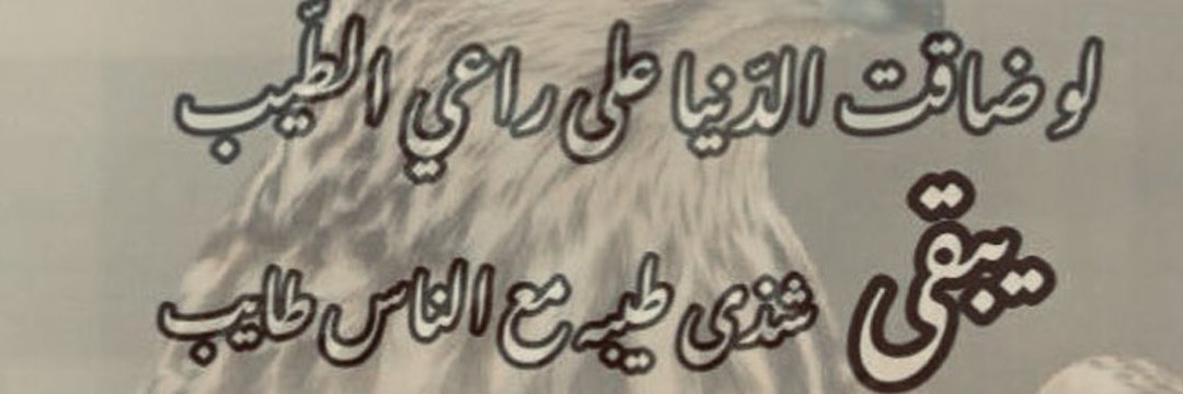 منى السبيعي banner