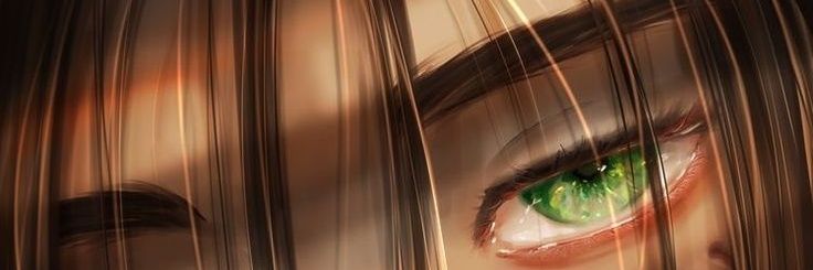 Nau banner