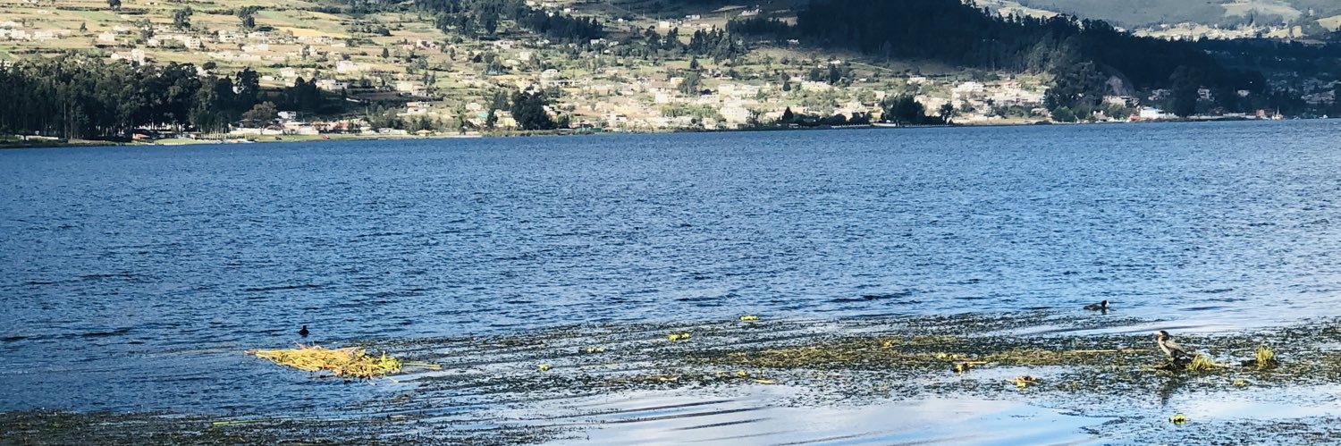 abigailj23's profile banner image