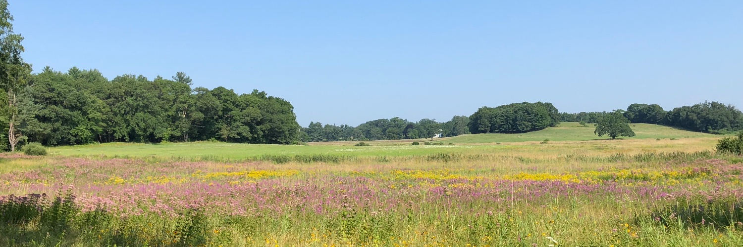 Ronald C. Pruett, Jr. banner