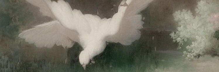 river 𝜗ৎ banner
