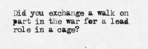 Bruce Daniels banner