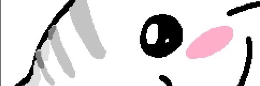 Sl banner