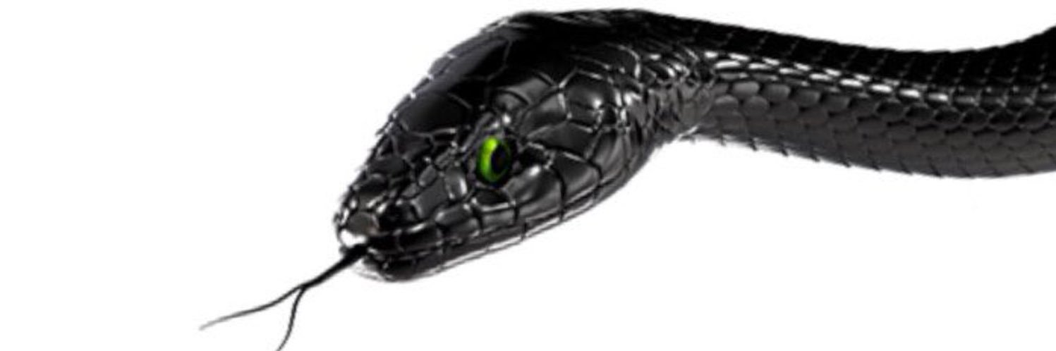 dahongApple's profile banner image