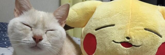 Unknown banner