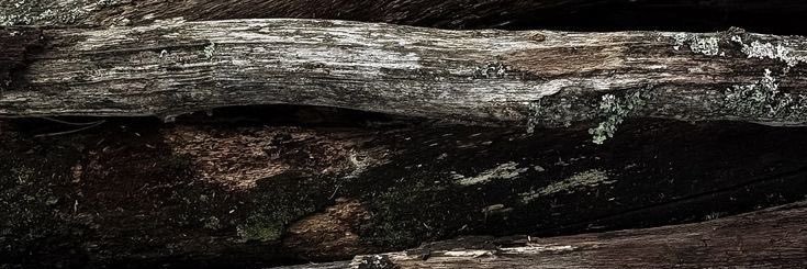 Meg banner