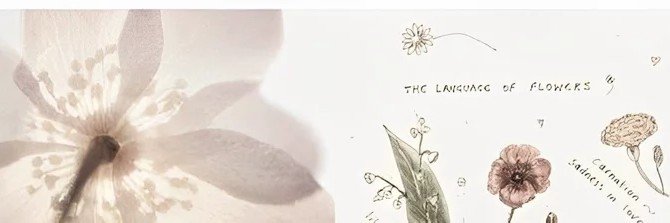 Den banner