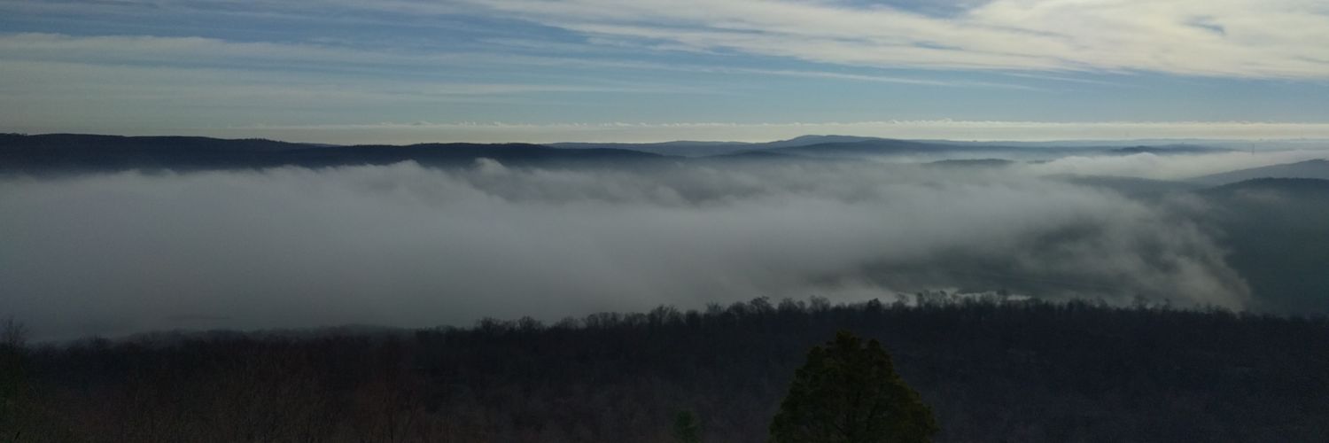 Fox_Spy's profile banner image