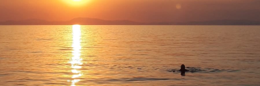 catherine mack banner