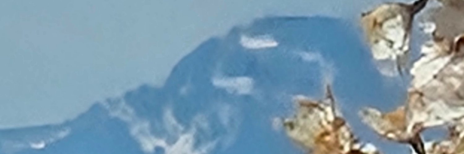 nilpinto's profile banner image
